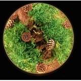  Li-Go 23654 - LED prigušiva stona dekoracija LED/12W/230V 20x22 cm mahovina | Eponuda.com