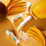 Eveline Cosmetics Extra Soft Lip Balm balzam za usne 1 kom | shoptok.hr