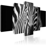  Slika - Zebra look 200x100 Cijene
