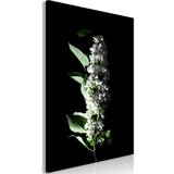  Slika - White Lilacs (1 Part) Vertical 60x90 | shoptok.hr