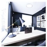  Svetilo LED LIVI 40 cm, 30 W, toplo-hladno belo, z možnostjo zatemnitve z daljinskim uprav | Shoptok.si