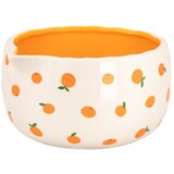 Sass & Belle Matcha set Capybara – | shoptok.hr