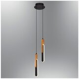 Opviq luster 1426-2A, LED 24 W, crni Cene