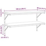 vidaXL Zidne police 2 kom 100 x 40 cm crne nehrđajući čelik | shoptok.hr