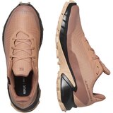 Salomon muške patike Alphacross 5 Gtx | ePonuda.com