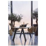 WOOOD Vrtna miza iz masivnega lesa 81x210 cm Tablo – | Shoptok.si