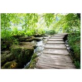  Tapeta - Forest path 250x175 | shoptok.hr