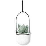 Umbra Plastična ukrasna tegla za cvijeće 5 kom za bilje/viseća i zidna ø 7,5 cm Triflora – | shoptok.hr