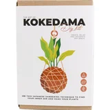 Art of Kokedama - DIY kit - 1 set
