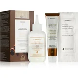 Argan Oil permanentna barva za lase z arganovim oljem odtenek 10.1 Platinum Ash Blonde 50 ml