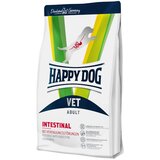 Happy Dog Vet Line Intestinal 1 kg Cene