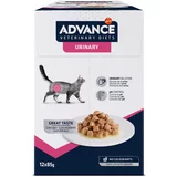 Affinity Advance Veterinary Diets Advance Veterinary Diets Feline Urinary - 12 x 85 g