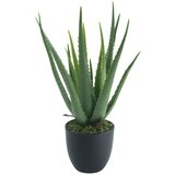 DEKOR DOM Veštačko cveće u saksiji Aloe vera Cene