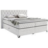 Modern Living Postelja Boxspring Carmen, Krem Barva, 160x200 | Shoptok.si