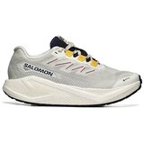 Salomon Modne superge Aero Blaze 3 Grvl GTX pisana Cene