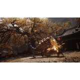 Pm studios PS5 Black Myth: Wukong | ePonuda.com