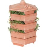 Bavicchi Geo Terracotta kalilnik Cene