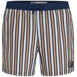 O'neill Kopalne hlače pastelno modra / temno modra / konjak | Shoptok.si