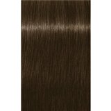 Schwarzkopf IGORA Royal boja za kosu nijansa 6-16 Dark Blonde Cendré Chocolate 60 ml | shoptok.hr