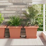  Saksije za biljke 6 pcs Crvena cigla 33 x 33 x 26 cm Plastika | shoptok.hr