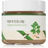 Birch Juice Moisturizing Sunscreen intenzivno vlažilna emulzija za pomiritev kože 80 ml