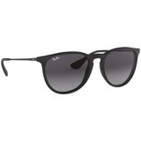 Ray-ban Sončna očala ERIKA 0RB4171 Črna | Shoptok.si