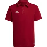 Adidas ENT22 POLO Y Polo majica za dječake, crvena, veličina