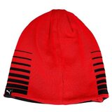 Puma Liga Reversible Beanie Crna | shoptok.hr
