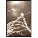  Slika - Fluffy Grass (1 Part) Vertical 40x60 | shoptok.hr