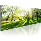  Slika - Rays of Sunshine 120x40 Cijene