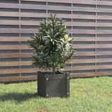 vidaXL Vrtno cvetlično korito sivo 31x31x31 cm trdna borovina Cene