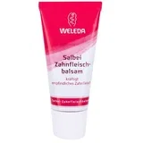 Dental Care balzam za desni od žalfije 30 ml
