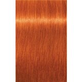 Schwarzkopf IGORA Royal boja za kosu nijansa 8-77 Light Blonde Copper Extra 60 ml | shoptok.hr