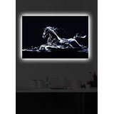 Wallity Zidna slika sa LED osvetljenjem 4570DACT-22, 45x70 cm | Eponuda.ba
