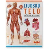Ljudsko telo dečija enciklopedija