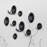 Spinder Design Črn stenski obešalnik Bug – | Shoptok.si