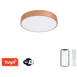  Brilagi-LED Prigušiva svetiljka POOL SMART LED/48W/230V 40 cm Wi-Fi Tuya bronza + daljinski upravljač | Eponuda.com
