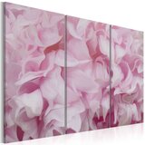  Slika - Azalea in pink 90x60 Cijene