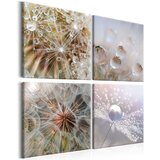  Slika - Morning Glow 60x60 Cijene