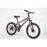 Winner Bike BIC.20/1-TN24Q22-PURPLE Cene