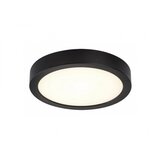Rabalux Spoljna plafonska rasveta Shaun Plus LED 24W crna (75075) Cene