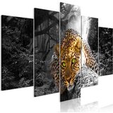  Slika - Leopard Lying (5 Parts) Wide Grey 100x50 Cijene