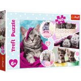 Trefl puzzle mace, 160 kom Cijene