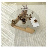 Hanah home mia - oak, transparent oaktransparent coffee table | ePonuda.com