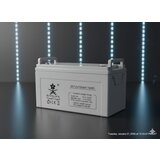  Akumulator 100ah ( 5039 ) Cene