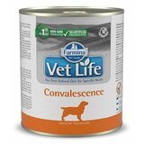 Farmina vet life dog convalescence 300 g Cene
