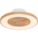 QAZQA Lesen stropni ventilator z LED z daljinskim upravljalnikom - Climo | Shoptok.si