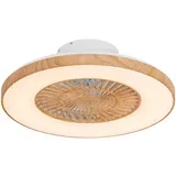 Lesen stropni ventilator z LED z daljinskim upravljalnikom - Climo