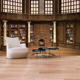  Tapeta - Library of Dreams 300x210 Cijene