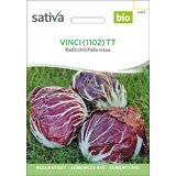Sativa Bio radič “Vinci” Cene
